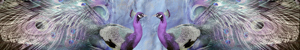 K-30482-test
