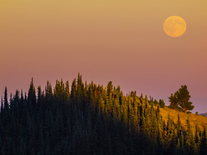 Moonrise Blue Mountain