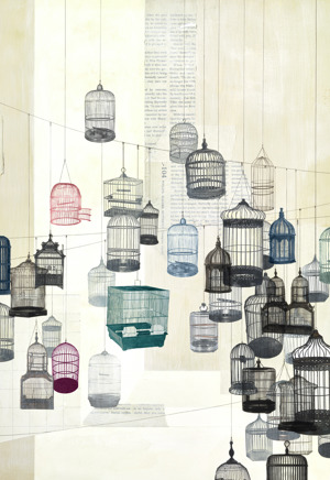 Birdcages 1