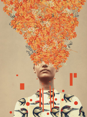 Bird Flight in Autumn