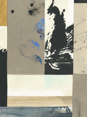 Assemblage 1