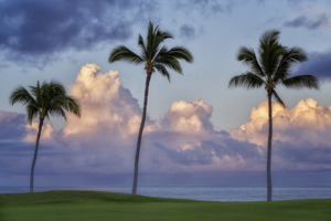 Clouds and Palm Trees 2
