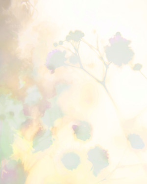 Silvered Floral 5