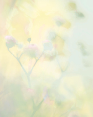 Silvered Floral 6