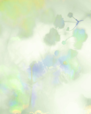 Silvered Floral 7