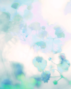Silvered Floral 9