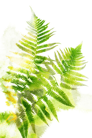 Watercolor Botanicals 3