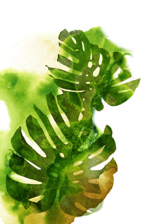 Watercolor Botanicals 4