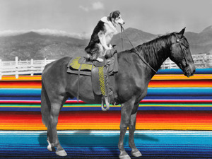 Giddy Up