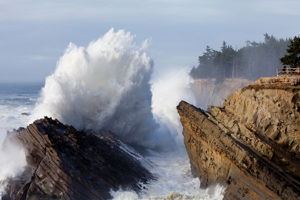 Shore Acres I