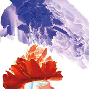 Botanical 9