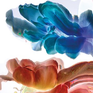 Botanical 12