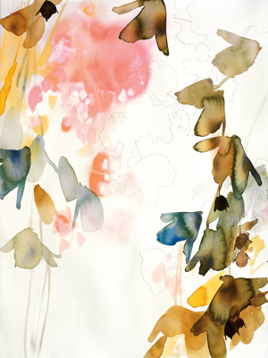 Gracious Wild 3