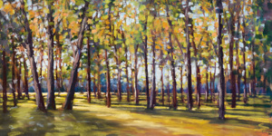 Forest Shade