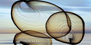 Sunset Circles 4