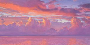 Evening Splendor