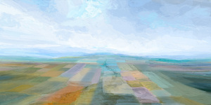 Aerial View 2