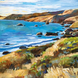 Northern California Coastal View
