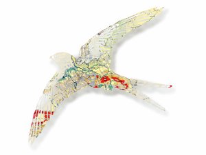 Flying Kite