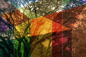 Design On Nature 3