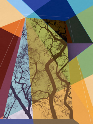 Design On Nature 27