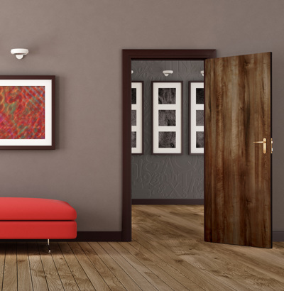 Door Skins Collection