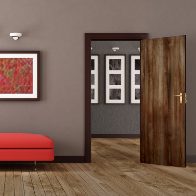 Door Skins Collection