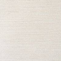 Lennon Grass Pumila Grass