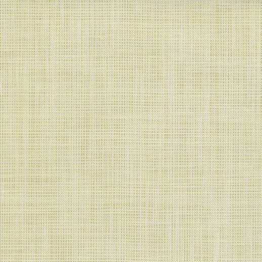  Len-Tex Contract Kampala Celery Seed