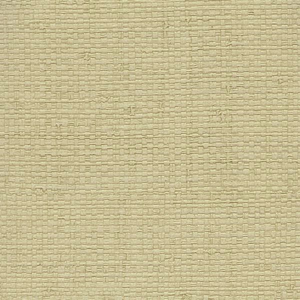 Featured Product Image