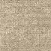 3823EC Sample