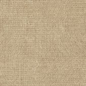 3825EC Sample