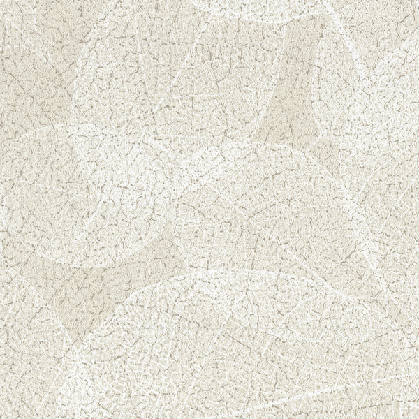 Featured Product Image