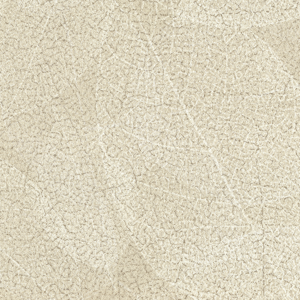 Featured Product Image