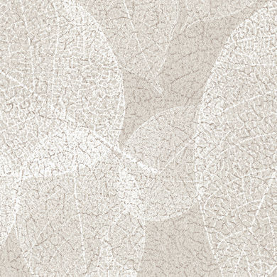 Birch