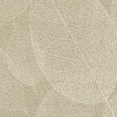 Fossil