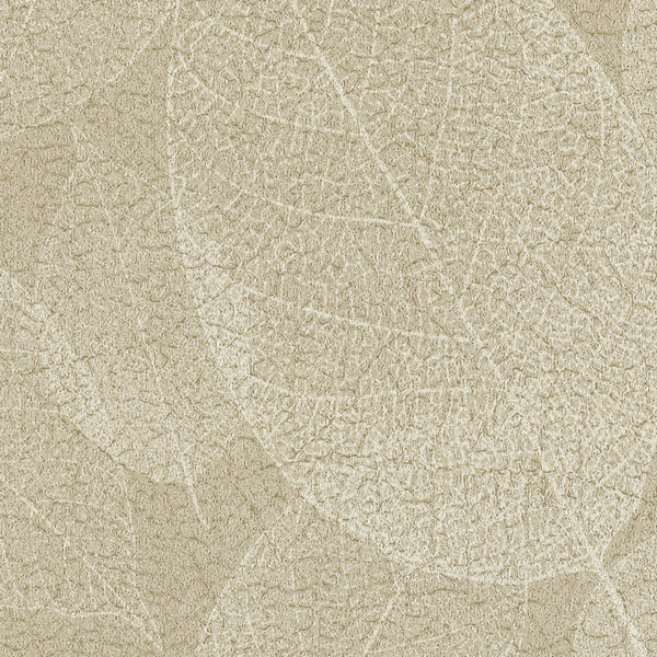 Featured Product Image