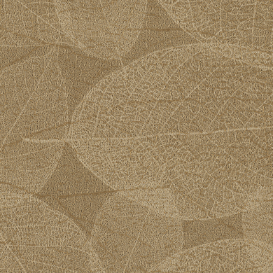 Maple