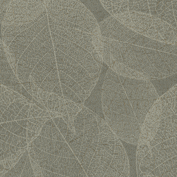 Featured Product Image