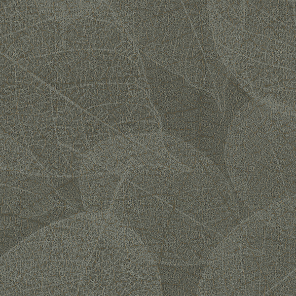 Featured Product Image