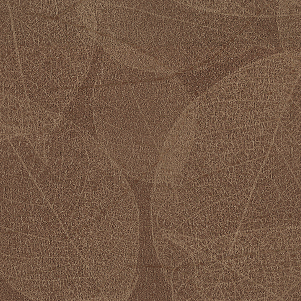 Featured Product Image