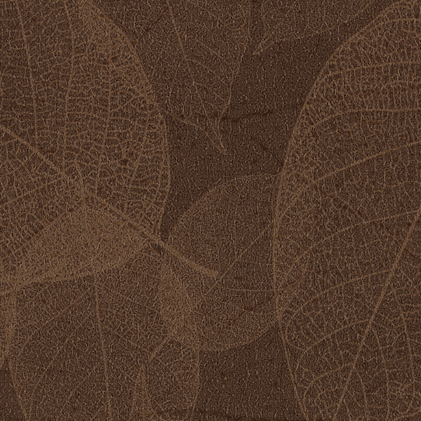 Featured Product Image