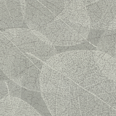 Eucalyptus