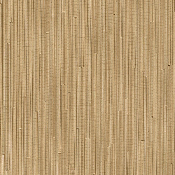 Featured Product Image