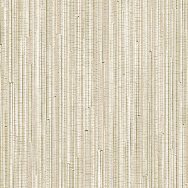 Featured Product Image