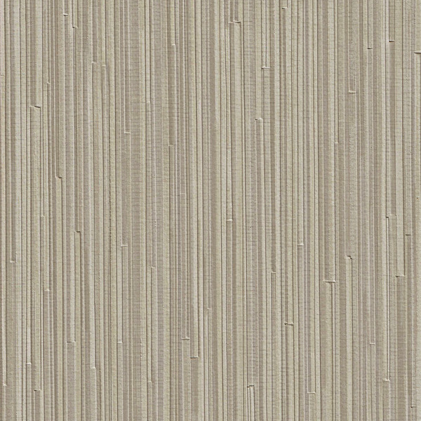 Featured Product Image