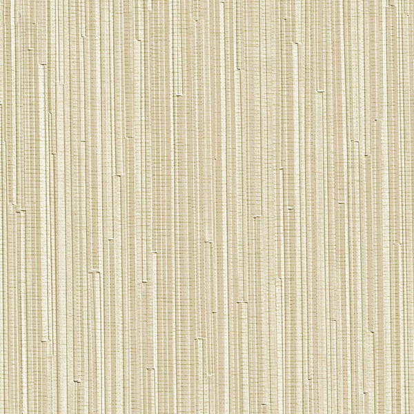 Featured Product Image