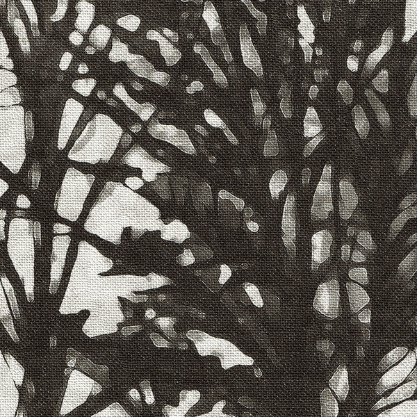 Featured Product Image