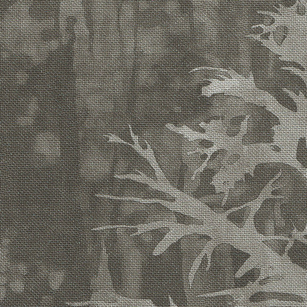 Featured Product Image