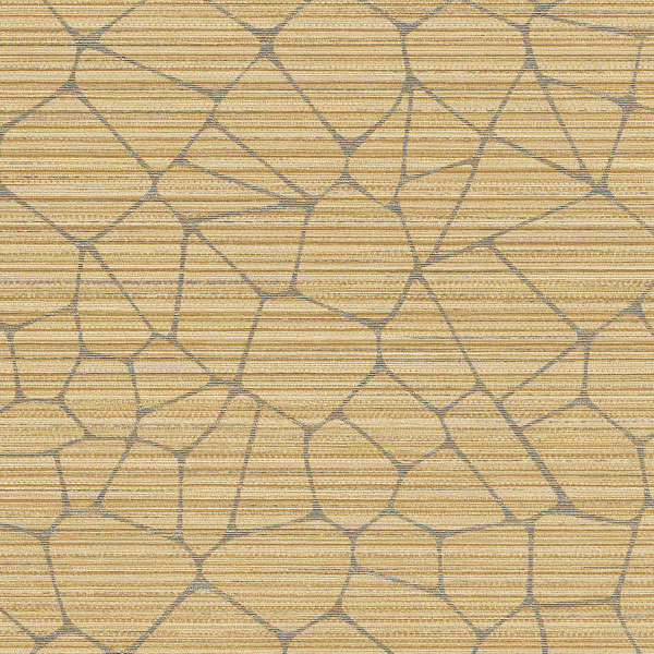 Featured Product Image